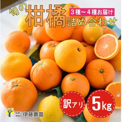 ふるさと納税 有田市 伊藤農園の[訳アリ]旬の柑橘詰め合わせ 5kg