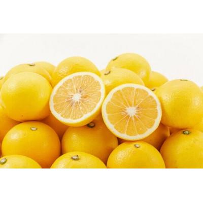 ふるさと納税 宮崎市 宮崎県産日向夏(2.5kg)化粧箱入り