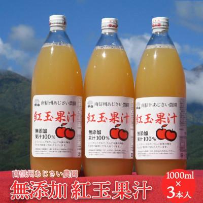 ふるさと納税 飯島町 [南信州あじさい農園]紅玉果汁(無添加紅玉ジュース) 3本入り