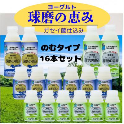 ふるさと納税 人吉市 球磨の恵み のむヨーグルト16本セット