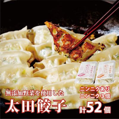 ふるさと納税 常陸太田市 無添加野菜を使用したなごみ家 冷凍生餃子52個(にんにくあり&amp;にんにく3倍13個入り×各2パック)