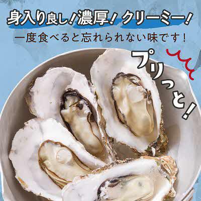 ふるさと納税 北見市 【2027年1月より順次発送予定】サロマ湖　自慢のかき貝(2年物・大)3.0kg_2