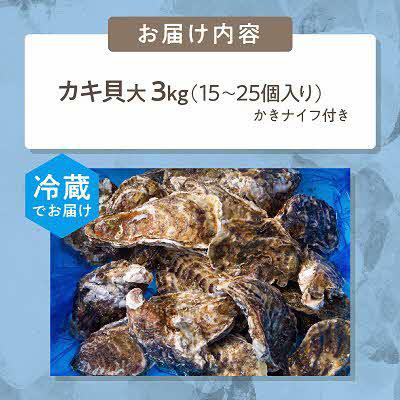 ふるさと納税 北見市 【2027年1月より順次発送予定】サロマ湖　自慢のかき貝(2年物・大)3.0kg_3