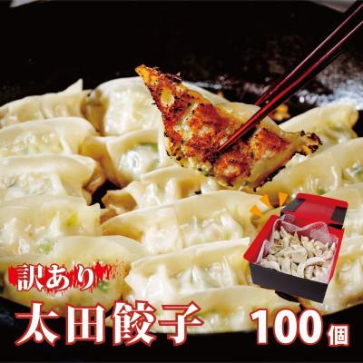 ふるさと納税 常陸太田市 [訳あり]無添加野菜を使用したなごみ家 冷凍 生餃子 100個