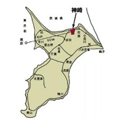 ふるさと納税 神崎町 【返礼品なし】千葉県神崎町ふるさと応援寄付金　(1,000円)　 |  | 02