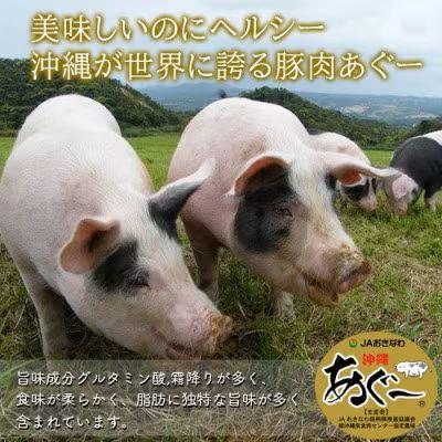 ふるさと納税 豊見城市 あぐー食べくらべしゃぶしゃぶセット(800g)　部位4点 |  | 02
