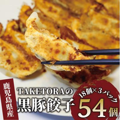 ふるさと納税 指宿市 [鹿児島ラーメン王2017・2019王者]TAKETORA黒豚餃子18個入×3P(010-1746)