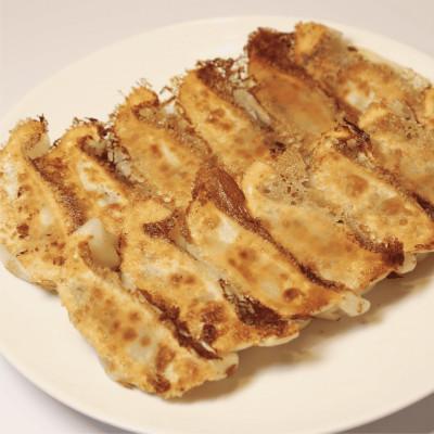 ふるさと納税 指宿市 鹿児島ラーメン王2017・2019王者 TAKETORA黒豚餃子18個入×6P(IB104-003)_1