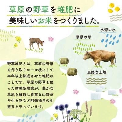 ふるさと納税 産山村 おとみや日和　阿蘇の名水と野草堆肥のめぐみ　玄米20kg(10kg×2袋) |  | 01