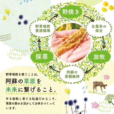 ふるさと納税 産山村 おとみや日和　阿蘇の名水と野草堆肥のめぐみ　玄米20kg(10kg×2袋) |  | 02
