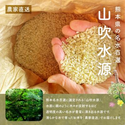 ふるさと納税 産山村 おとみや日和　阿蘇の名水と野草堆肥のめぐみ　玄米20kg(10kg×2袋) |  | 03