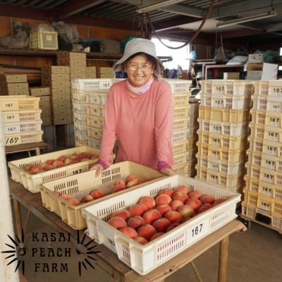 ふるさと納税 山梨市 【2026年発送】厳選朝採り桃 山梨の笠井桃園の桃 約2kgの画像