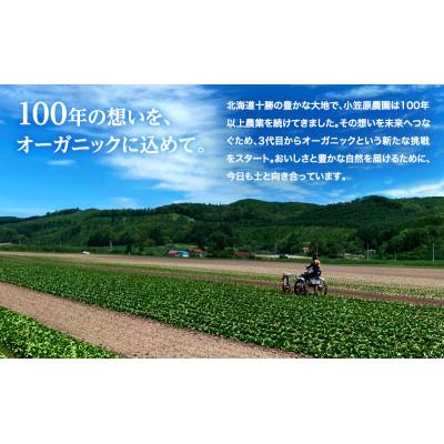 ふるさと納税 幕別町 小笠原農園の有機玉ねぎ10kg【北海道十勝幕別】《2026年秋出荷先行予約》[53690936] |  | 01