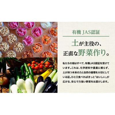 ふるさと納税 幕別町 小笠原農園の有機玉ねぎ10kg【北海道十勝幕別】《2026年秋出荷先行予約》[53690936] |  | 02