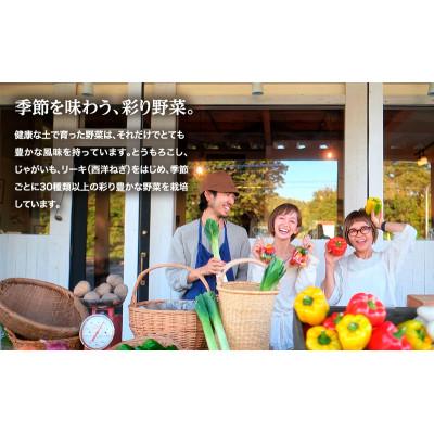 ふるさと納税 幕別町 小笠原農園の有機玉ねぎ10kg【北海道十勝幕別】《2026年秋出荷先行予約》[53690936] |  | 03
