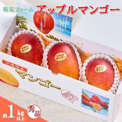 ふるさと納税 名護市 [2026年6月下旬〜順次発送][琉花ファーム]秀品!!アップルマンゴー 1kg以上