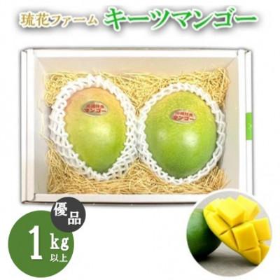 ふるさと納税 名護市 [2026年8月中旬〜順次発送][琉花ファーム]優品!キーツマンゴー 1kg以上