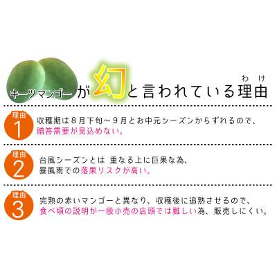 ふるさと納税 名護市 【2027年8月中旬〜順次発送】【琉花ファーム】優品!キーツマンゴー　2kg以上 |  | 02