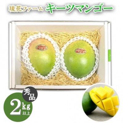ふるさと納税 名護市 【2027年8月中旬〜順次発送】【琉花ファーム】秀品!!キーツマンゴー　2kg以上 | 