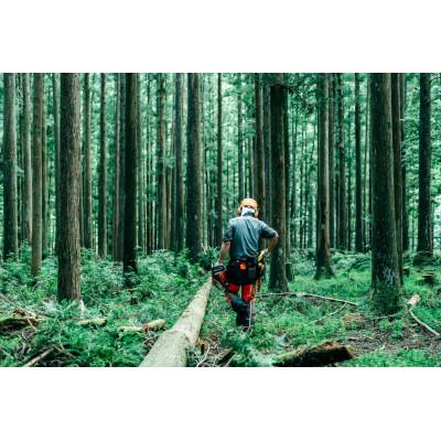 ふるさと納税 下北山村 [返礼品なし]自然環境の保全に関する事業