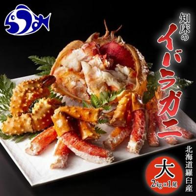 ふるさと納税 羅臼町 知床 イバラガニ 姿 1尾(2.0kg前後)