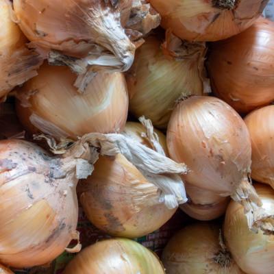 ふるさと納税 観音寺市 訳ありそのまんま玉ねぎ 約3kg