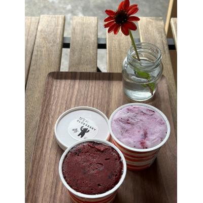 ふるさと納税 阿南市 那賀川育ち 完熟ブルーベリーの贅沢アイス&amp;ソルベ