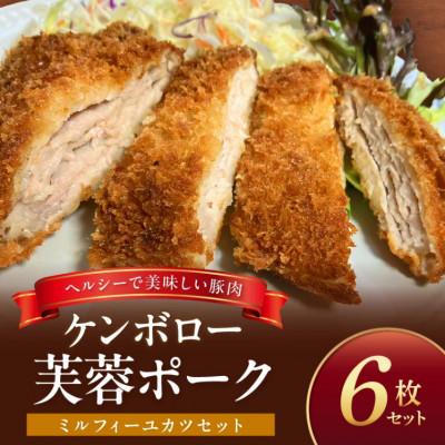 ふるさと納税 浜田市 浜田市産 ケンボロー芙蓉ポーク ミルフィーユカツ6枚セット