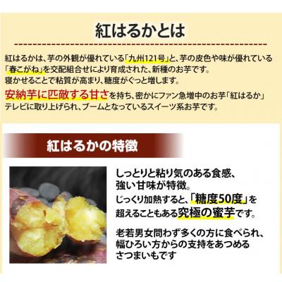 ふるさと納税 菊池市 紅はるか 秀品(約10kg)(菊池市)の画像