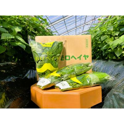ふるさと納税 唐津市 佐賀県産ハウスモロヘイヤ 1kg(100g×10袋)