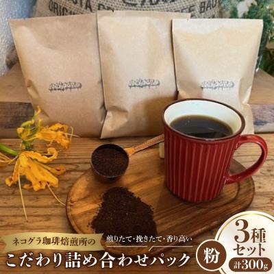 ふるさと納税 高石市 [粉3種合計300g]ネコグラ珈琲焙煎所の煎りたて挽きたて香り高いこだわり3種詰め合わせパック