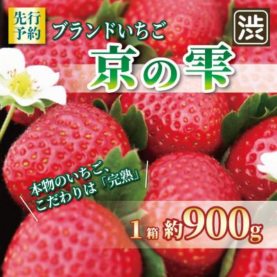 ふるさと納税 八幡市 いちご 京の雫 化粧箱入り 1箱 900g 20〜28粒入り