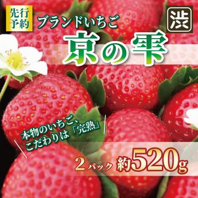 ふるさと納税 八幡市 いちご 京の雫 2パック 約520g 260g×2パック