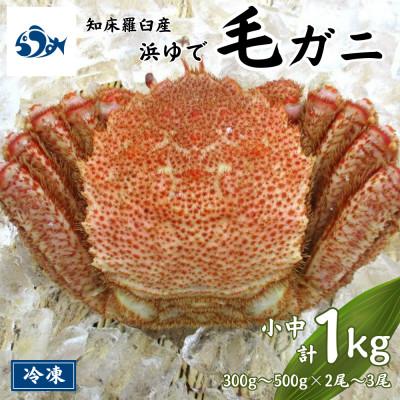 ふるさと納税 羅臼町 知床羅臼産 浜ゆで毛がに 計1kg(小中サイズ 300g〜500g×2尾〜3尾)