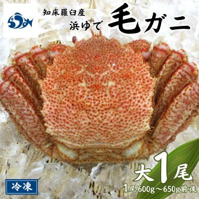 ふるさと納税 羅臼町 知床羅臼産 浜ゆで毛がに 大サイズ 1尾(600g〜650g前後)
