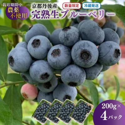 ふるさと納税 京丹後市 国産 完熟ブルーベリー 生果 200g×4パック(栽培期間中農薬・化学肥料・除草剤不使用) 冷蔵