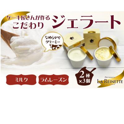 ふるさと納税 豊明市 ジェラート6個入り(リッチミルクジェラート&amp;ラムレーズンジェラート 90ml各3個)