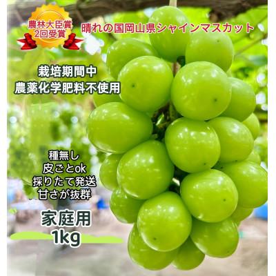 ふるさと納税 岡山市 [2026年7月中旬から順次発送]家庭用 岡山県産シャインマスカット1kg 訳あり
