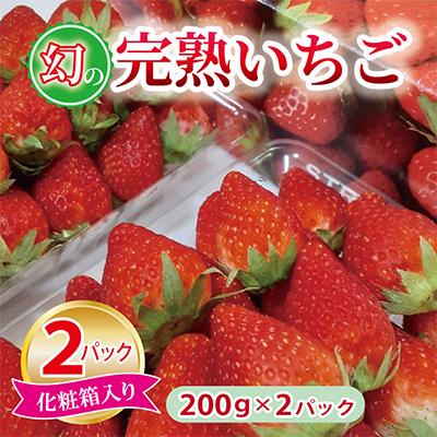 ふるさと納税 泉佐野市 [特別規格]朝摘み完熟いちご 化粧箱入り 200g×2パック