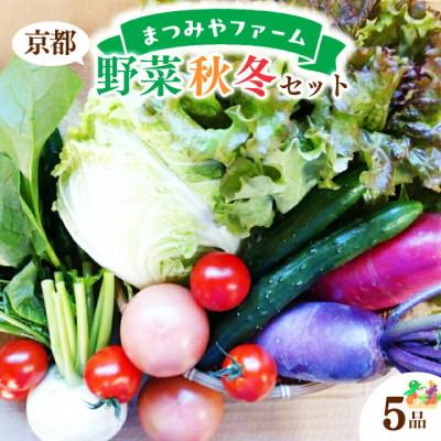 ふるさと納税 京丹後市 [先行予約]京都・まつみやファームの京都の野菜秋冬セット(5品)(2026年11月中旬〜発送予定)
