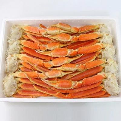 ふるさと納税 阪南市 [2026年4月25日より順次発送]ボイルずわい蟹 4Lサイズ 3.0kg[BBQにおすすめ]