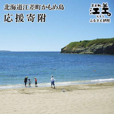 ふるさと納税 江差町 [返礼品なし]かもめ島応援寄附(1口:10万円)かもめ島の環境保全・景観保護・にぎわい創出支援
