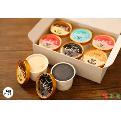 ふるさと納税 南箕輪村 地元のとれたて生乳&amp;地域の厳選こだわり素材使用 味工房プレミアムジェラート5種6個セット