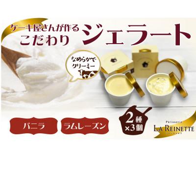 ふるさと納税 豊明市 ジェラート6個入り(濃厚バニラジェラート&amp;ラムレーズンジェラート 90ml各3個)