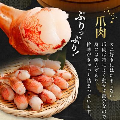 ふるさと納税 阪南市 【2026年8月29日より順次送りとどける】生ずわい蟹 蟹爪肉 500g【BBQにおすすめ】