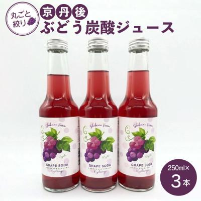 ふるさと納税 京丹後市 [先行予約]京丹後の葡萄炭酸ジュース(ソーダ) 小瓶250ml×3本(2026年11月中旬順次発送)