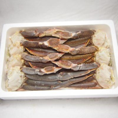 ふるさと納税 阪南市 ●期間限定[10月10日より順次発送]生ずわい蟹 5Lサイズ 3kg(6〜8肩)