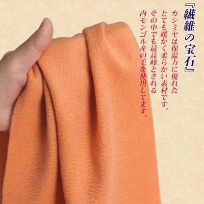 ふるさと納税 田原本町 高級 カシミヤ100% 薄手 マフラー 無地 66302 レディース 内モンゴル産 ブルー_3