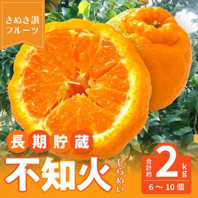 ふるさと納税 三豊市 [造田商店][先行予約]数量限定[5月以降出荷]夏季まで美味しさを保つ、長期貯蔵「不知火」約2kg