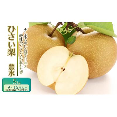 ふるさと納税 津市 [先行予約]ひさい梨 豊水 5kg[果樹 秀専]